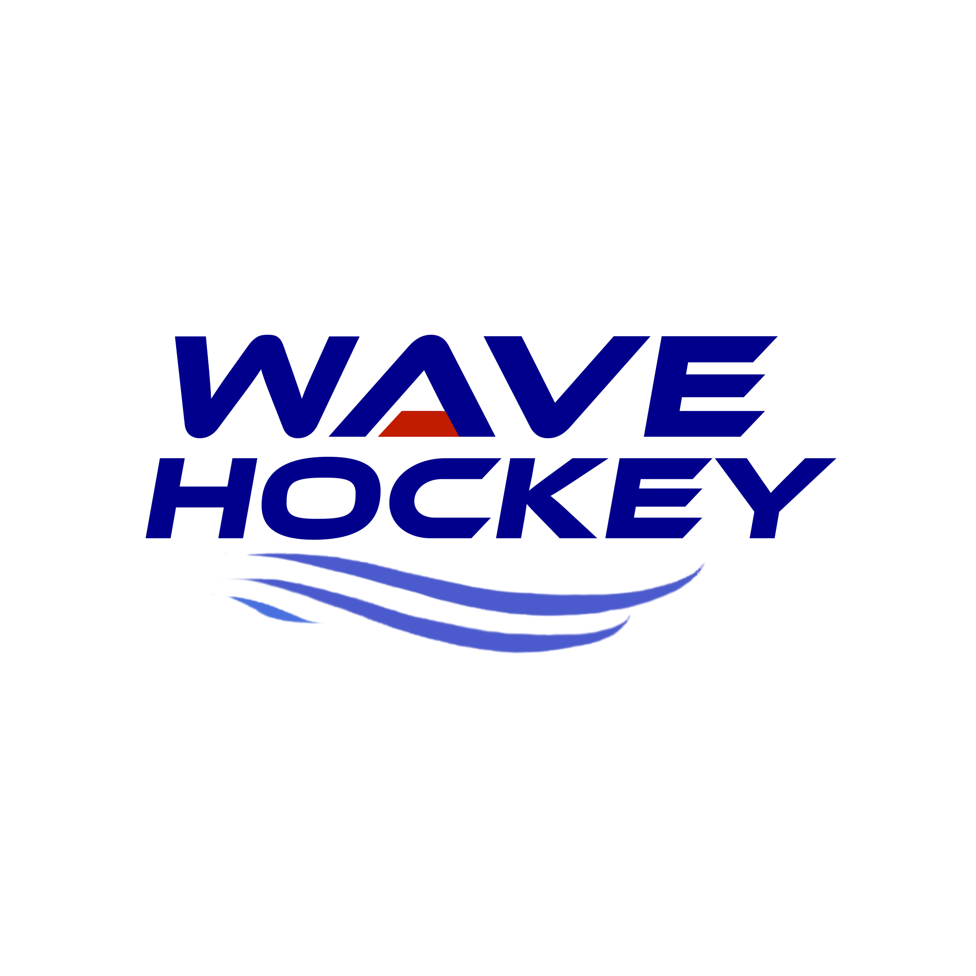 Youth programs wave hockey