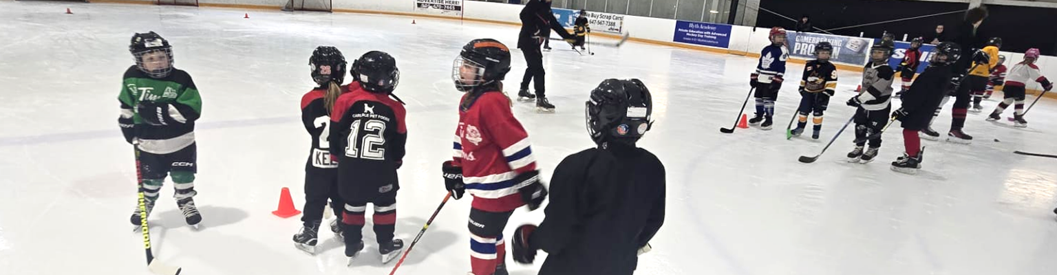 Learn to Play Programs